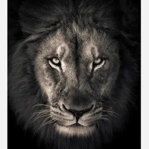 The King Canvasprint (30x40 cm) Meilleur Prix