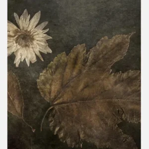 Achat Immédiat The Trio Canvasprint (30x40 cm)