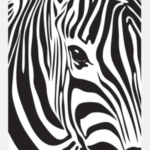 Zebra Canvasprint (30x40 cm) Prix Réduit