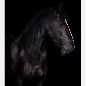 Achat Immédiat Erika Canvasprint (30x40 cm)