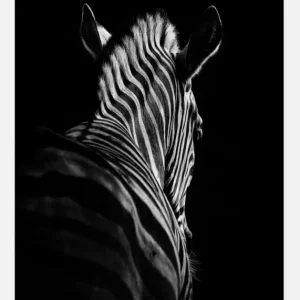 Acheter En Ligne Stepping Down Canvasprint (30x40 cm)