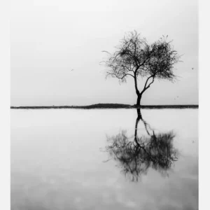Vente Flash Lonely Tree Reflection Canvasprint (30x40 cm)
