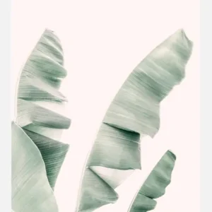 Blush Banana Leaves Canvasprint (30x40 cm) Offre Spéciale