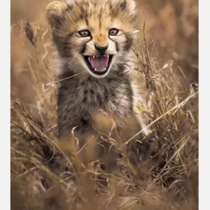 Big Smile Canvasprint (30x40 cm) Marque