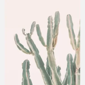 Vente Flash Sunrise Cactus Canvasprint (30x40 cm)