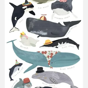 Whales In Hats Canvasprint (30x40 cm) Réduction