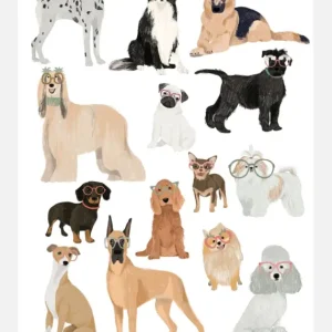 Acheter Direct Dogs In Glasses Print Canvasprint (30x40 cm)
