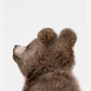 Top Vente Peekaboo Baby Bear Back Canvasprint (30x40 cm)