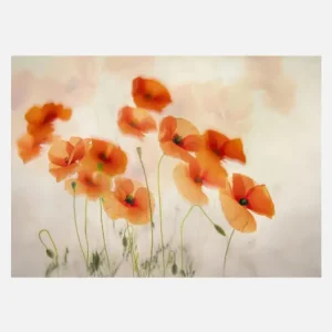 Waving In The Wind Canvasprint (30x40 cm) Achetez Aujourd’hui