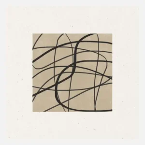 Tangled Paths Canvasprint (30x30 cm) Livraison Gratuite