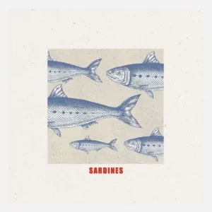 Blue Fish Harmony Canvasprint (30x30 cm) Remise