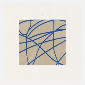 Blue Web Dance Canvasprint (30x30 cm) Authentique