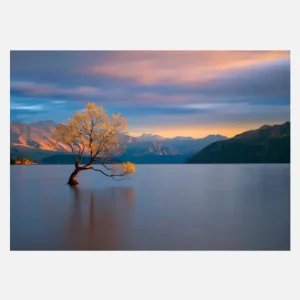 Super Prix Morning Glow Canvasprint (30x40 cm)