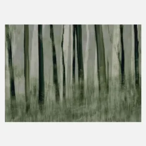 Trees In Motion Canvasprint (30x40 cm) Offre Limitée