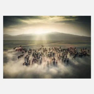 Wild Horses Canvasprint (30x40 cm) Prix Réduit