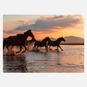Water Horses Canvasprint (30x40 cm) Livraison Gratuite